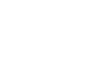Mobile Logo